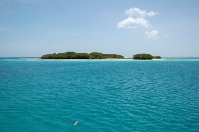 41- Cayo Carenero 